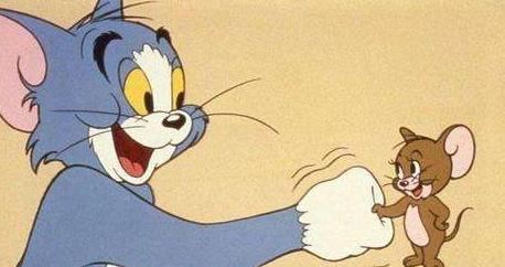 爆料猫玩老鼠视频下载,下载背后的趣味与争议  第2张